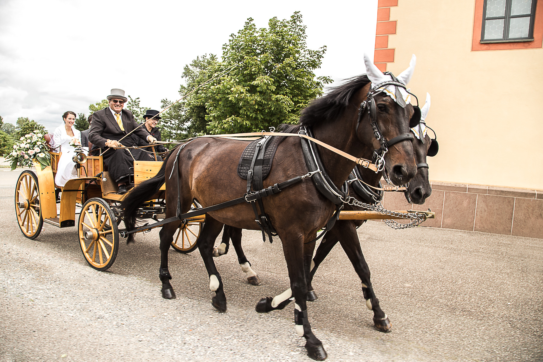 Die Braut wird durch Kutscher auf einer Kutsche, die durch zwei Pferde angezogen wird, zu ihrer kirchlichen Trauung angefahren.